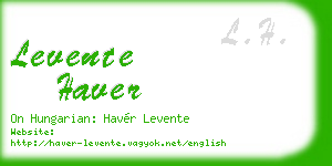 levente haver business card