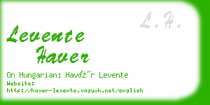 levente haver business card